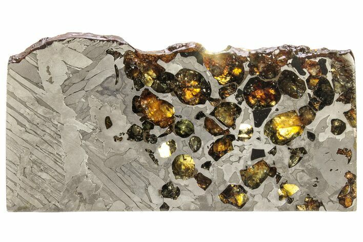 Seymchan Pallasite Meteorite Slice ( g) - Russia #305583